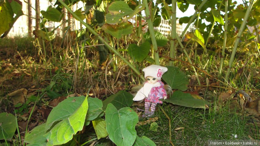 Ai-Ромашка и ее друзья. Осень — последняя, самая восхитительная улыбка года. (У.К.Брайант)