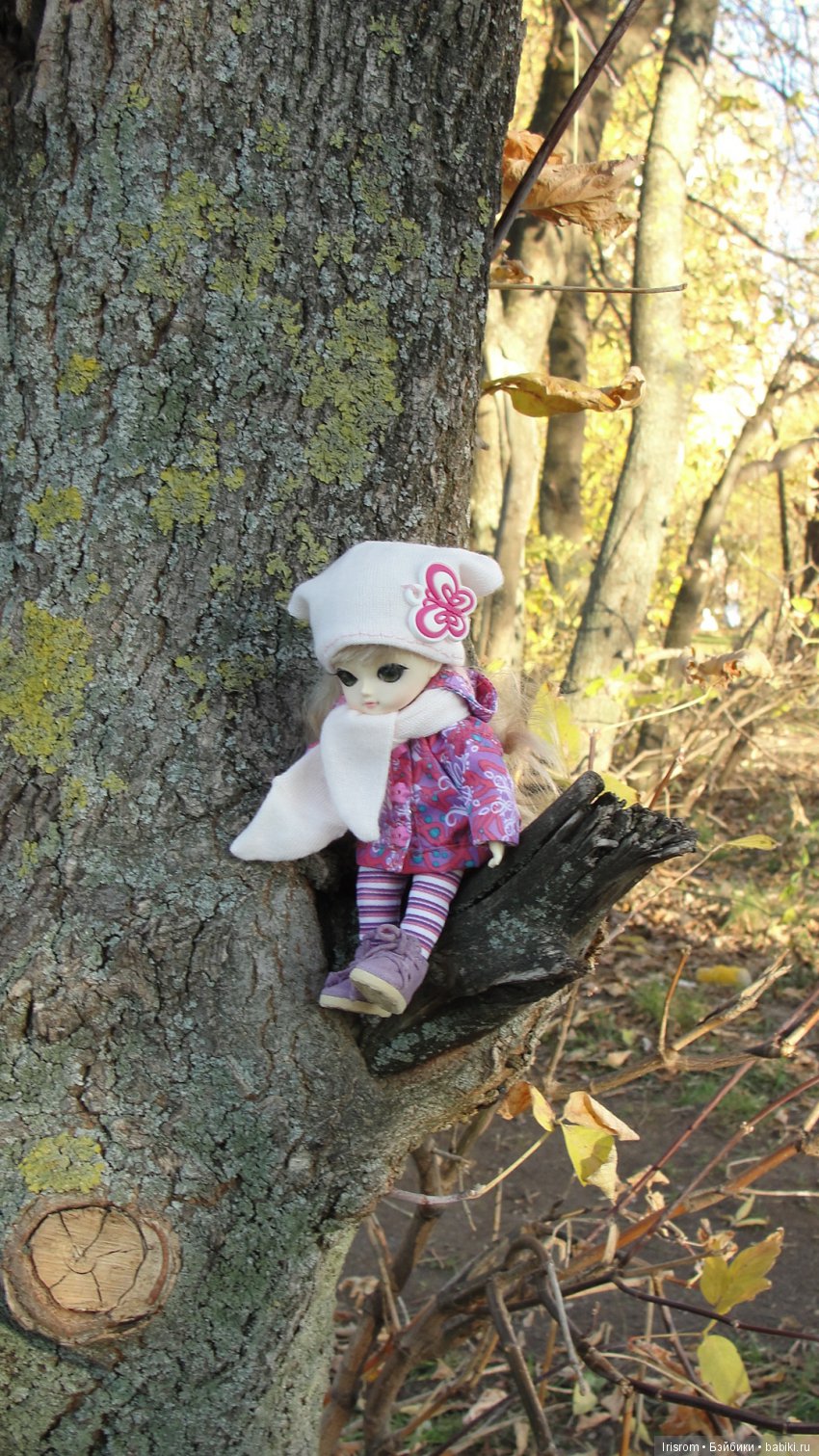 Ai-Ромашка и ее друзья. Осень — последняя, самая восхитительная улыбка года. (У.К.Брайант) (фото 8)