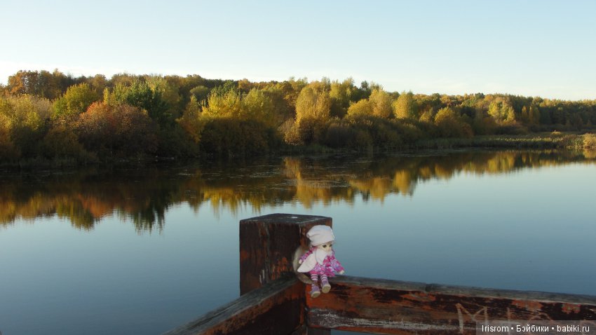 Ai-Ромашка и ее друзья. Осень — последняя, самая восхитительная улыбка года. (У.К.Брайант) (фото 6)