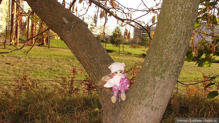 Ai-Ромашка и ее друзья. Осень — последняя, самая восхитительная улыбка года. (У.К.Брайант) (фото 9)