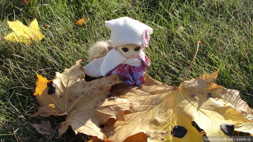 Ai-Ромашка и ее друзья. Осень — последняя, самая восхитительная улыбка года. (У.К.Брайант) (фото 4)