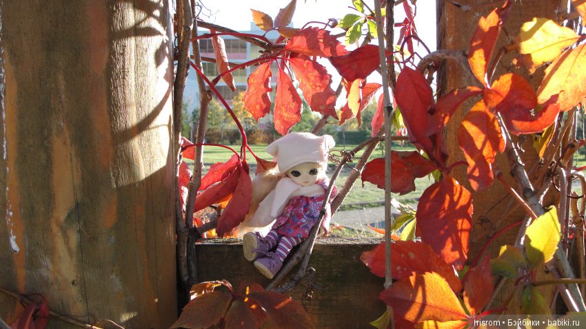 Ai-Ромашка и ее друзья. Осень — последняя, самая восхитительная улыбка года. (У.К.Брайант) (фото 3)