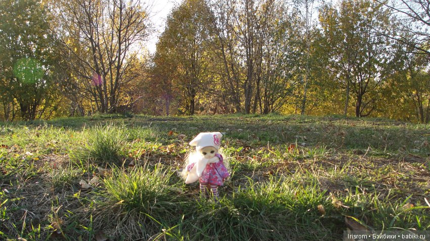 Ai-Ромашка и ее друзья. Осень — последняя, самая восхитительная улыбка года. (У.К.Брайант) (фото 5)