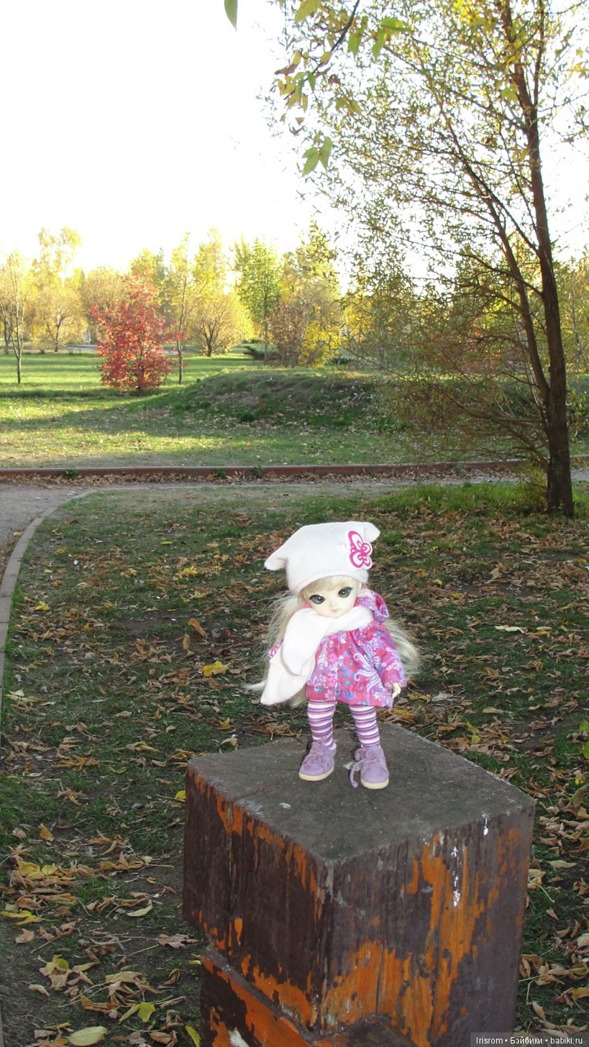 Ai-Ромашка и ее друзья. Осень — последняя, самая восхитительная улыбка года. (У.К.Брайант) (фото 7)