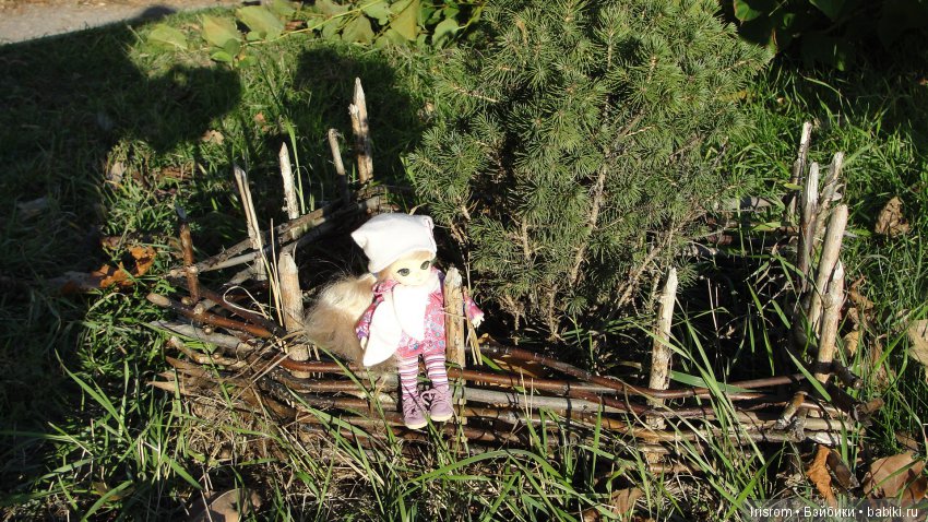 Ai-Ромашка и ее друзья. Осень — последняя, самая восхитительная улыбка года. (У.К.Брайант) (фото 10)