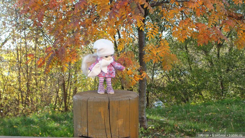 Ai-Ромашка и ее друзья. Осень — последняя, самая восхитительная улыбка года. (У.К.Брайант)