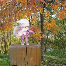 Ai-Ромашка и ее друзья. Осень — последняя, самая восхитительная улыбка года. (У.К.Брайант)