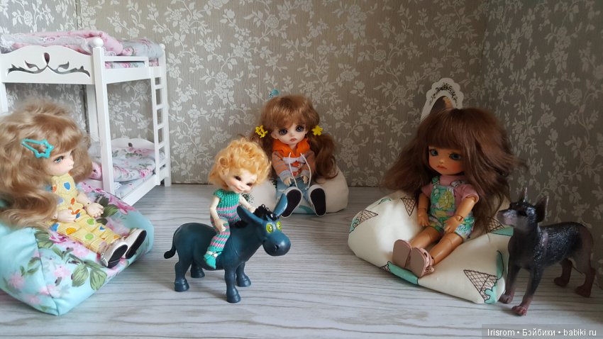 Ai-Ромашка и ее друзья. Неожиданное пополнение питомцев (фото 5)