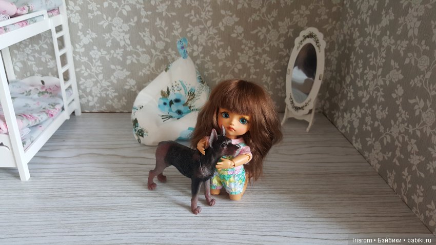 Ai-Ромашка и ее друзья. Неожиданное пополнение питомцев