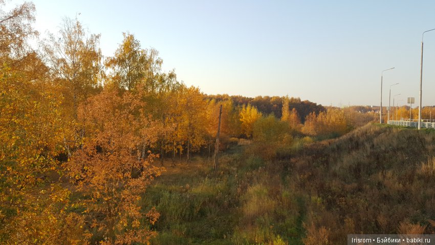 Ai-Ромашка и ее друзья. Неожиданное пополнение питомцев