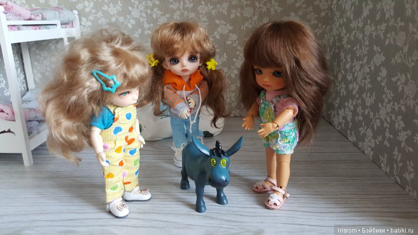 Ai-Ромашка и ее друзья. Неожиданное пополнение питомцев (фото 3)