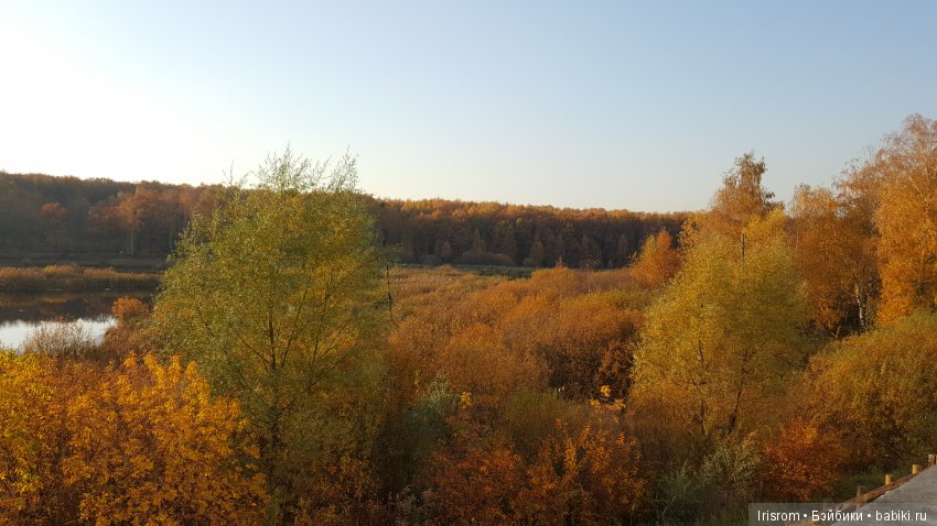 Ai-Ромашка и ее друзья. Неожиданное пополнение питомцев