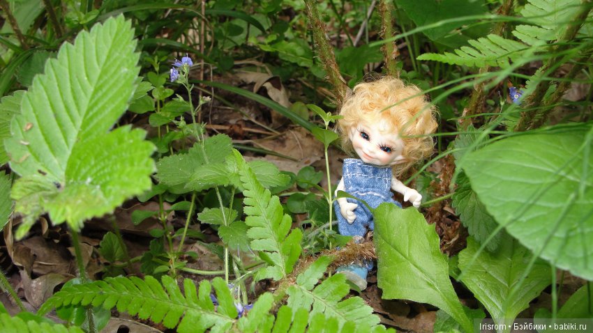 Ai - Ромашка и ее друзья. Лесные приключения Кузи (фото 3)