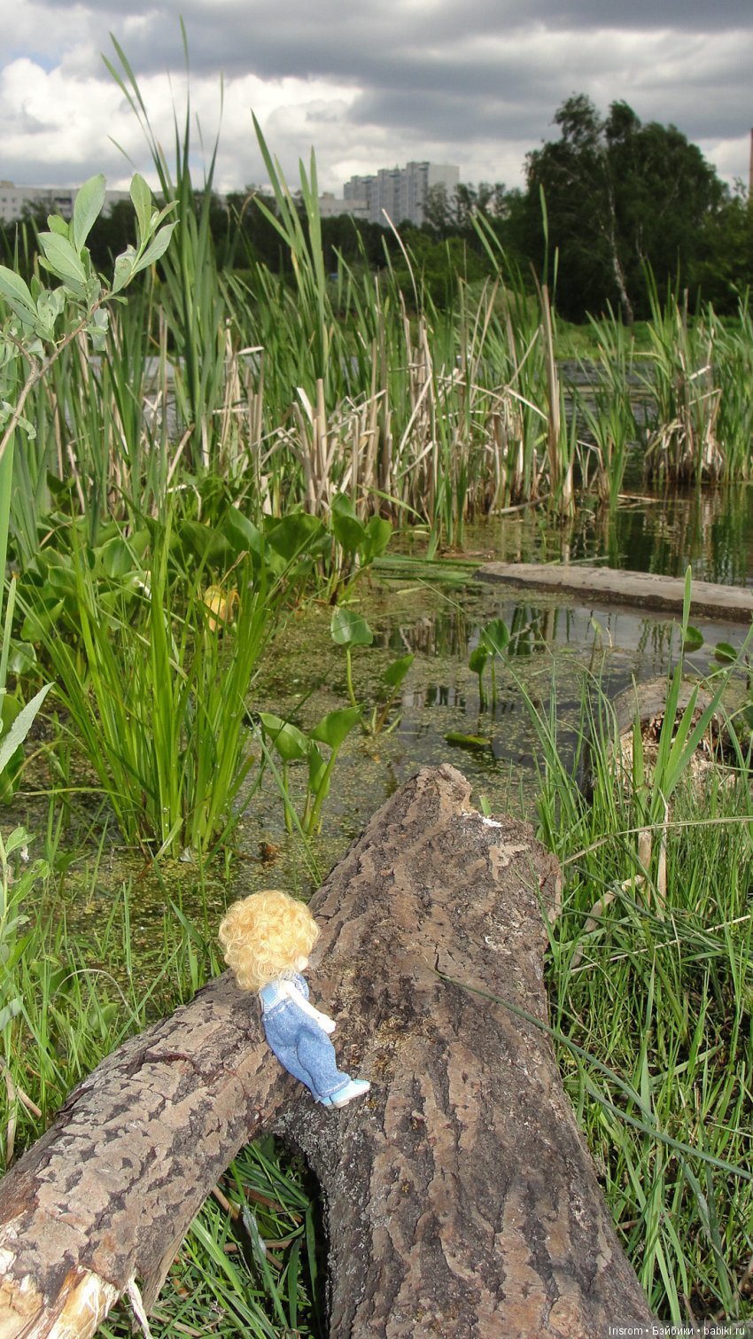 Ai - Ромашка и ее друзья. Лесные приключения Кузи (фото 7)