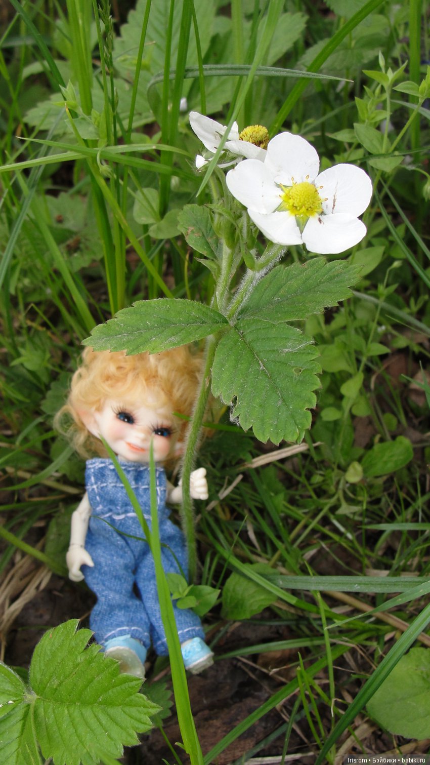 Ai - Ромашка и ее друзья. Лесные приключения Кузи