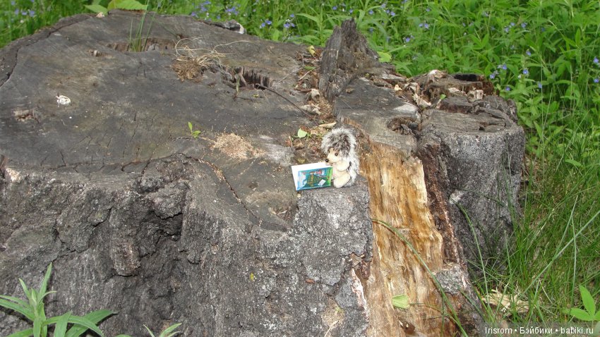 Ai - Ромашка и ее друзья. Лесные приключения Кузи