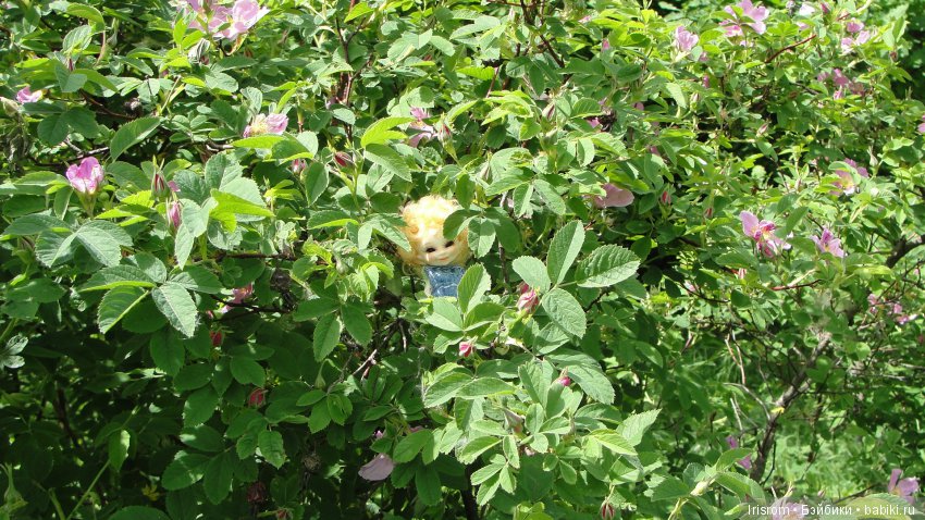 Ai - Ромашка и ее друзья. Лесные приключения Кузи (фото 8)