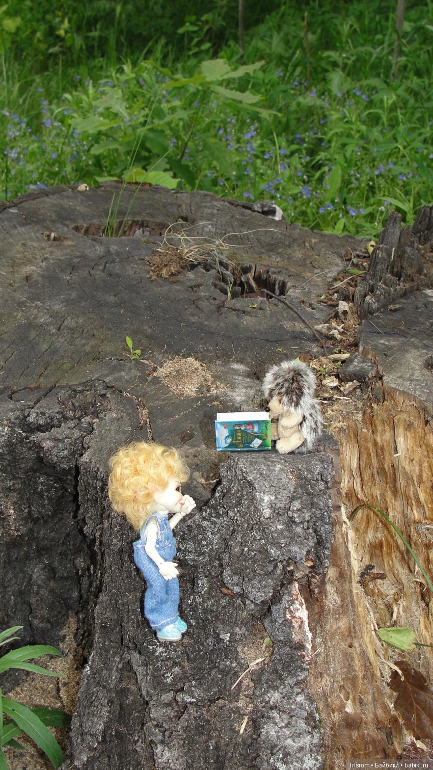 Ai - Ромашка и ее друзья. Лесные приключения Кузи