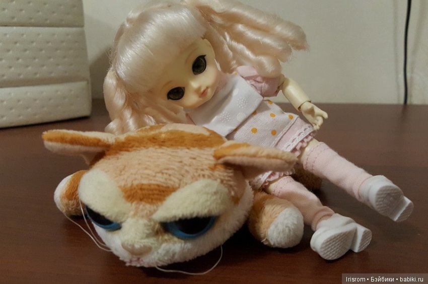 Ai-Ромашка и ее друзья.Без кота и жизнь не та или сколько кошек нужно для счастья (фото 2)