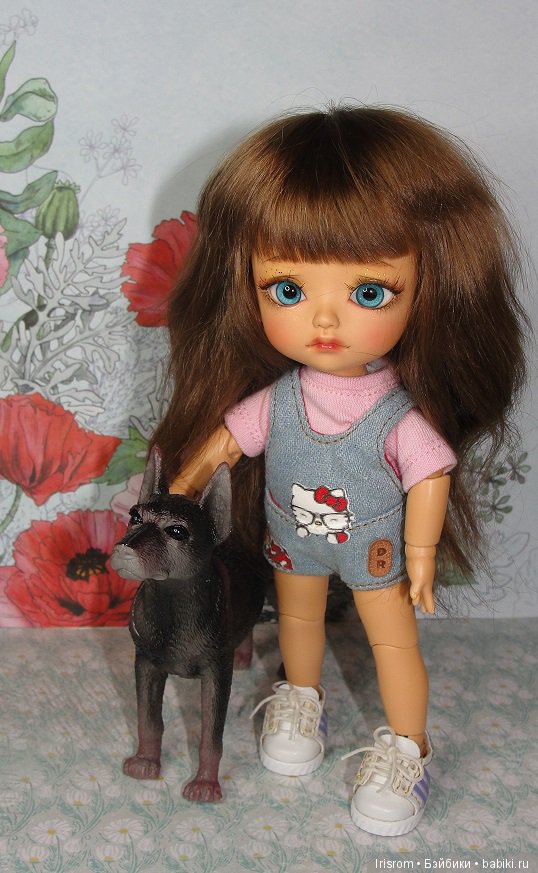 Ai-Ромашка и ее друзья.Наши собаки