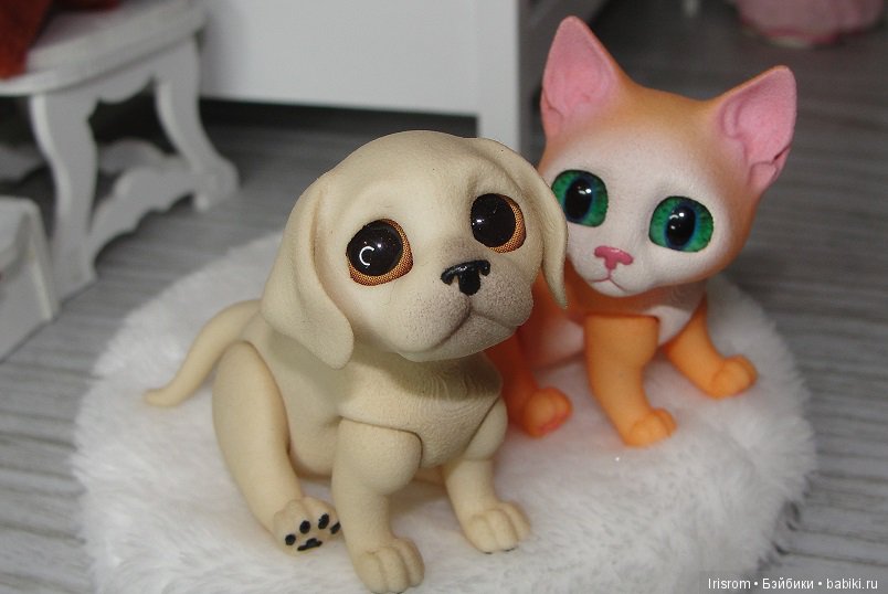 Ai-Ромашка и ее друзья.Наши собаки (фото 5)