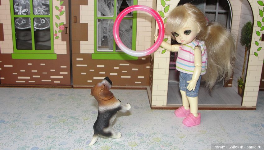 Ai-Ромашка и ее друзья.Наши собаки (фото 6)