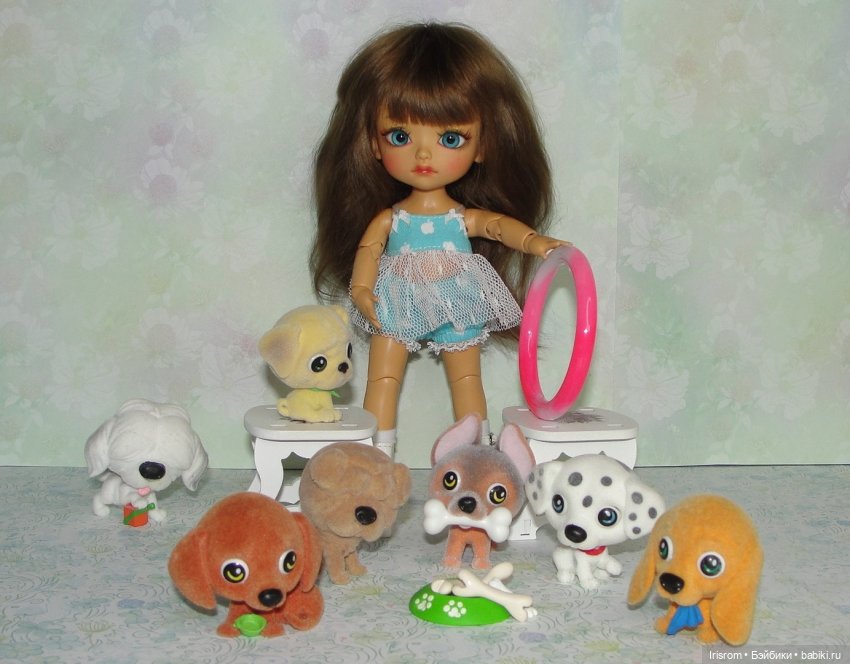 Ai-Ромашка и ее друзья. Роми-блогер, ЖЗК, выпуск 3 (фото 6)