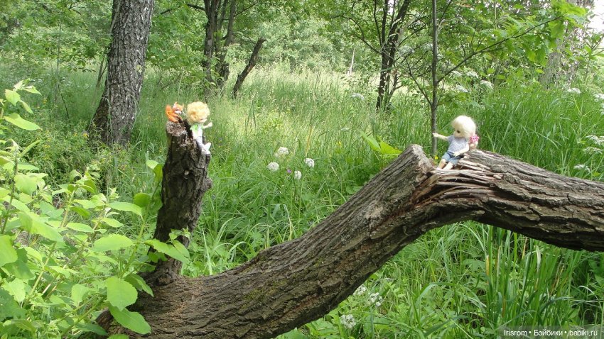 Ai-Ромашка и ее друзья. Роми-блогер, ЖЗК, выпуск 5 (фото 2)