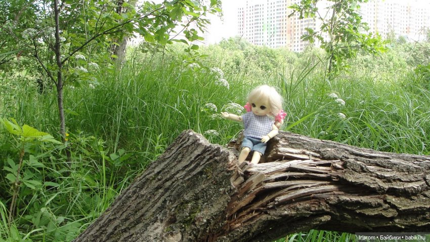 Ai-Ромашка и ее друзья. Роми-блогер, ЖЗК, выпуск 5 (фото 4)