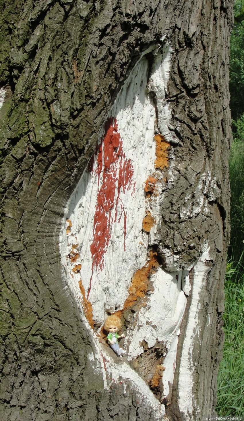 Ai-Ромашка и ее друзья. Роми-блогер, ЖЗК, выпуск 5 (фото 5)