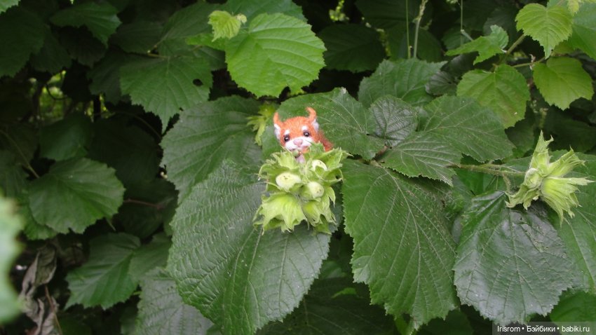 Ai-Ромашка и ее друзья. Роми-блогер, ЖЗК, выпуск 5 (фото 6)