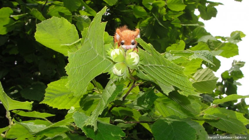 Ai-Ромашка и ее друзья. Роми-блогер, ЖЗК, выпуск 5 (фото 7)