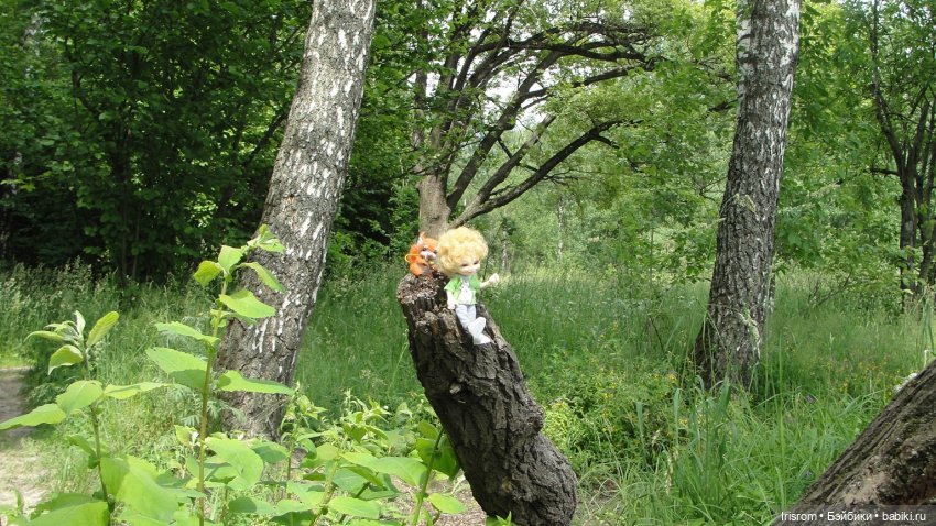 Ai-Ромашка и ее друзья. Роми-блогер, ЖЗК, выпуск 5 (фото 3)