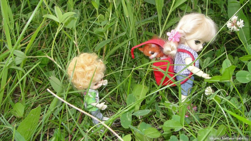 Ai-Ромашка и ее друзья. Роми-блогер, ЖЗК, выпуск 5