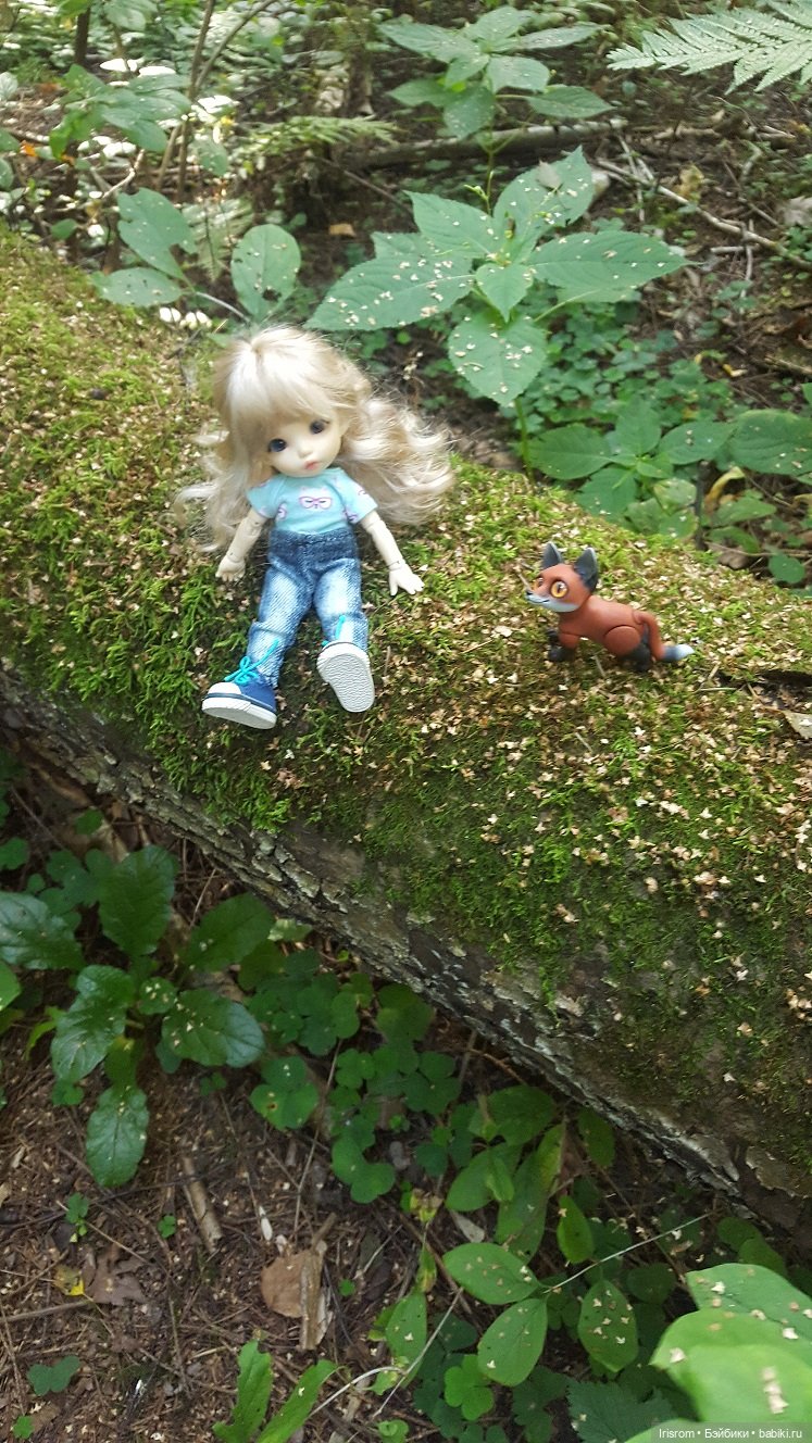 Ai-Ромашка и ее друзья. Энджи с Нильсом на прогулке в лесу (фото 6)