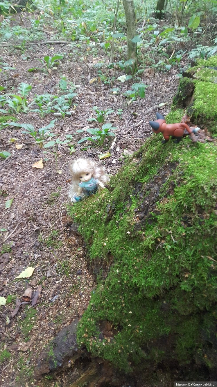 Ai-Ромашка и ее друзья. Энджи с Нильсом на прогулке в лесу (фото 10)