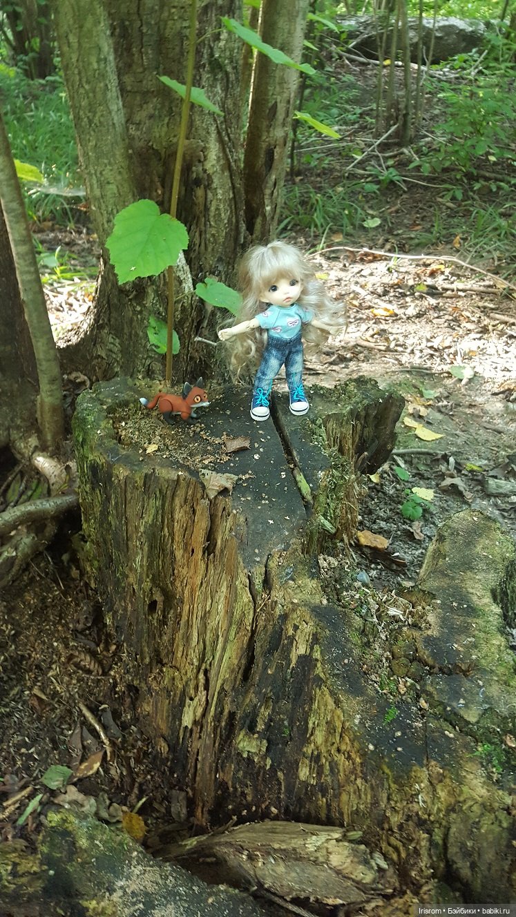 Ai-Ромашка и ее друзья. Энджи с Нильсом на прогулке в лесу (фото 9)