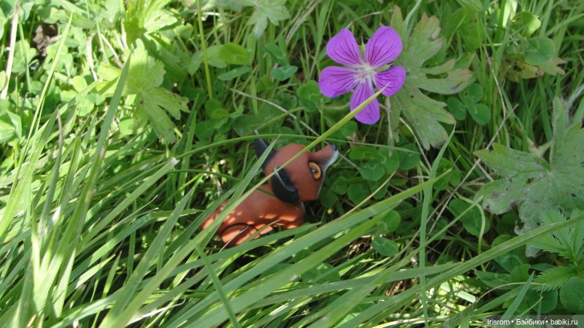 Ai-Ромашка и ее друзья. Энджи с Нильсом на прогулке в лесу