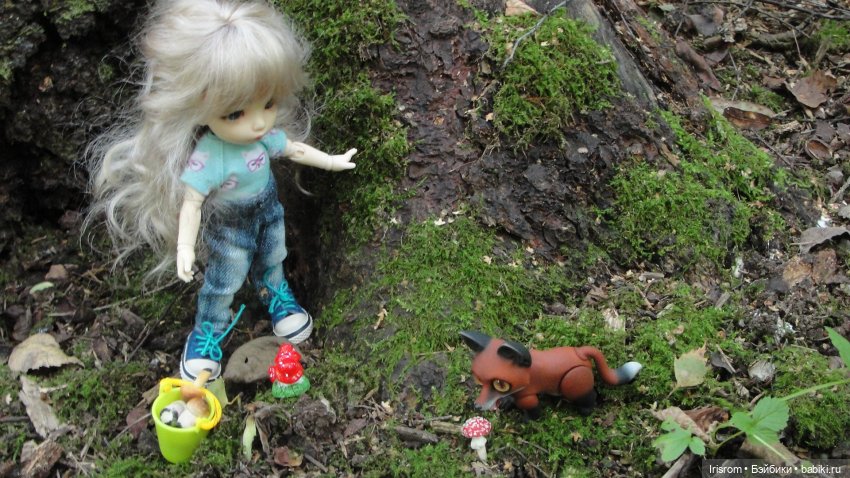 Ai-Ромашка и ее друзья. Энджи с Нильсом на прогулке в лесу