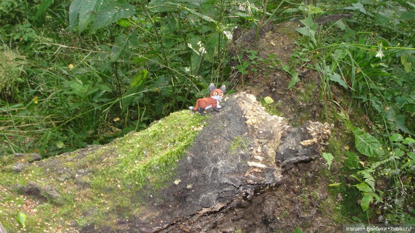 Ai-Ромашка и ее друзья. Энджи с Нильсом на прогулке в лесу (фото 4)