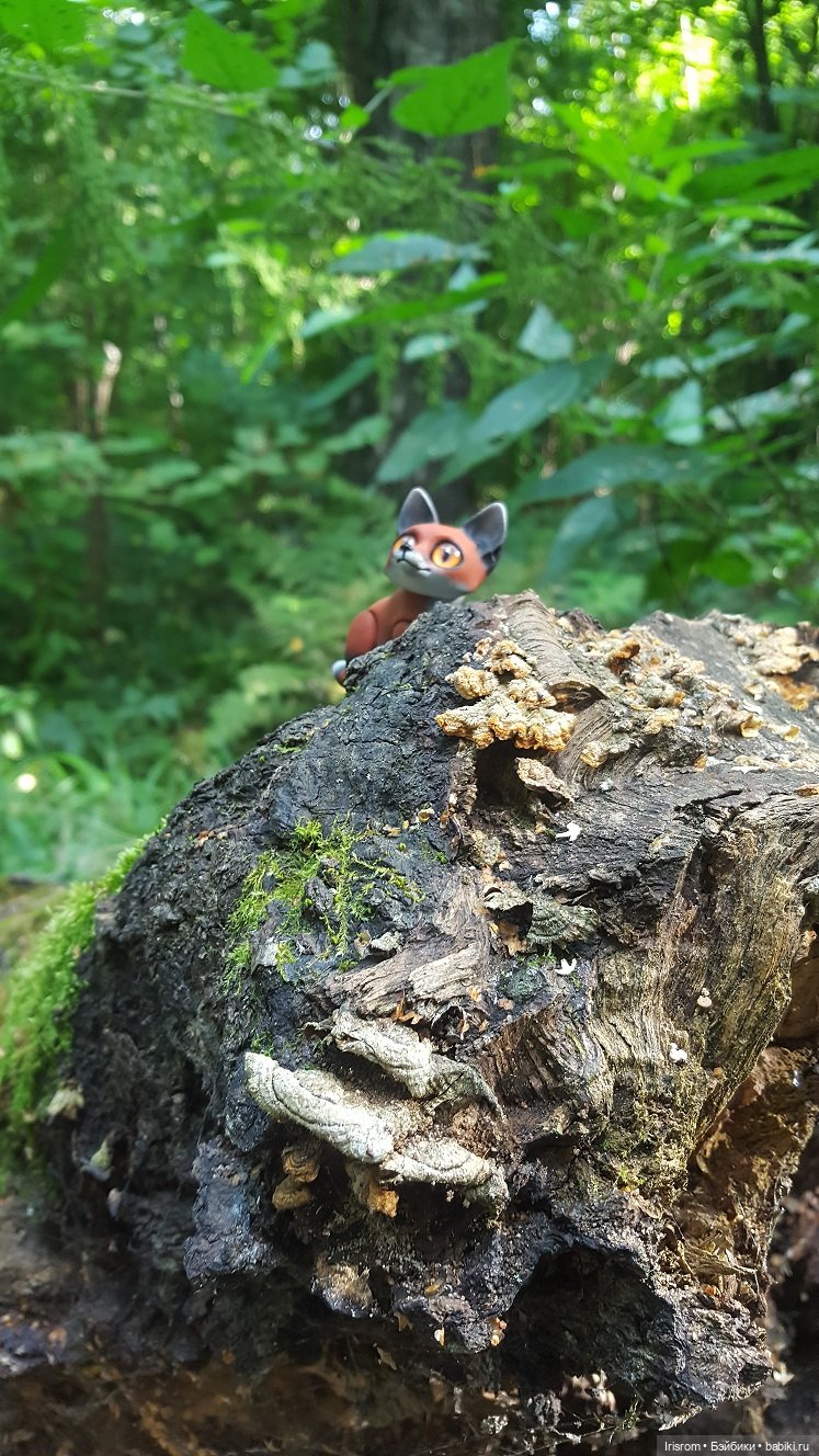 Ai-Ромашка и ее друзья. Энджи с Нильсом на прогулке в лесу (фото 5)