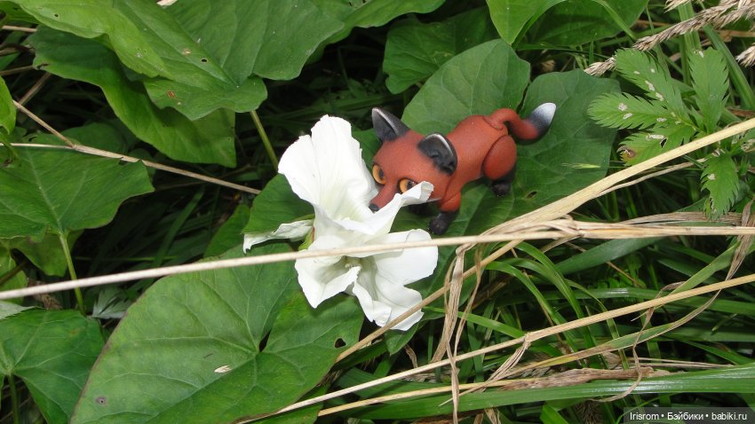 Ai-Ромашка и ее друзья. Энджи с Нильсом на прогулке в лесу (фото 2)