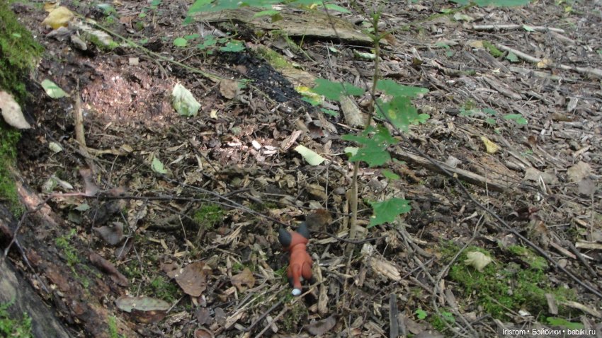 Ai-Ромашка и ее друзья. Энджи с Нильсом на прогулке в лесу