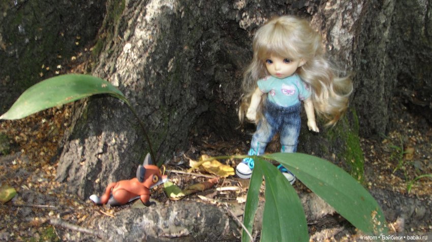 Ai-Ромашка и ее друзья. Энджи с Нильсом на прогулке в лесу (фото 3)