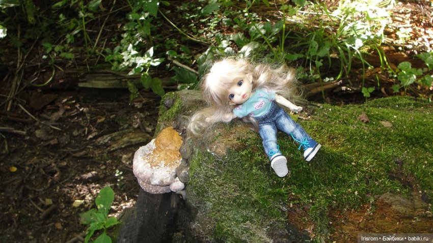 Ai-Ромашка и ее друзья. Энджи с Нильсом на прогулке в лесу (фото 8)