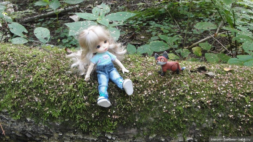 Ai-Ромашка и ее друзья. Энджи с Нильсом на прогулке в лесу (фото 7)