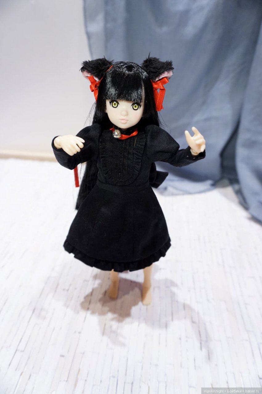 Моя первая руруко — Куклы Momoko и Ruruko (Petworks