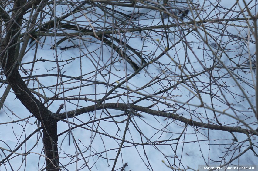 Архив ненужных снов. Глава 2, часть 1. Никуда не ходи с незнакомцами