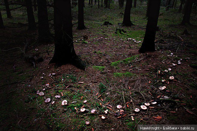 Архив ненужных снов. Глава 2, часть 2. Никуда не ходи с незнакомцами (фото 10)