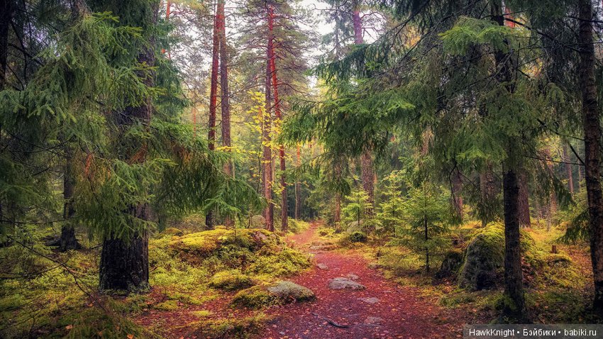 Архив ненужных снов. Глава 2, часть 2. Никуда не ходи с незнакомцами (фото 8)